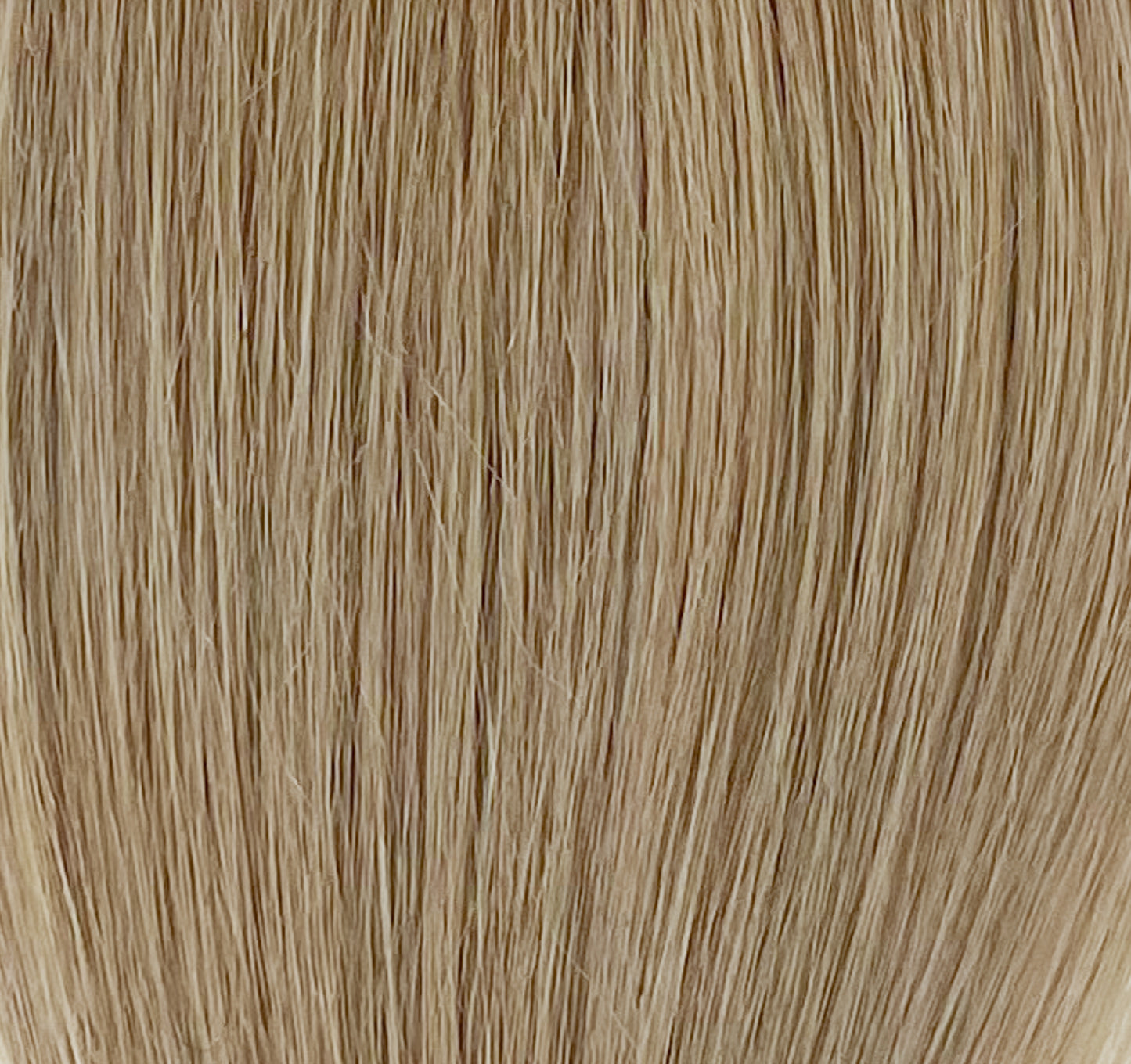 Prisegami tresai 100 g, #10